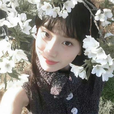 蜘蛛王国